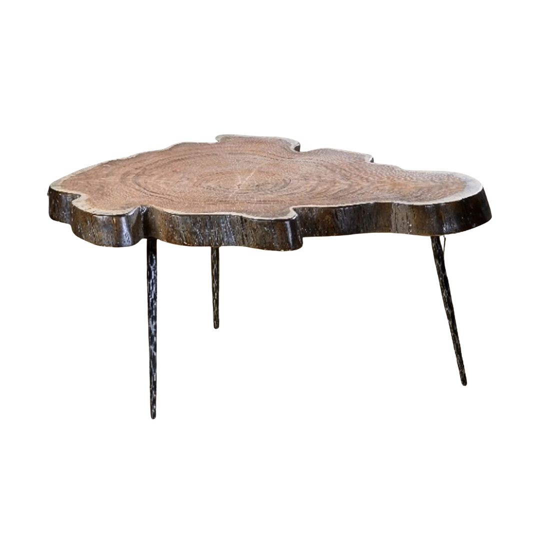 TREE COFFEE TABLE | 100X60X40CM