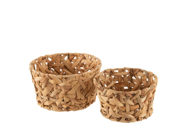 CANE BASKET