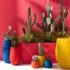 SOLANA VASE | ORANGE