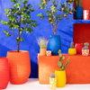 SOLANA VASE | ORANGE