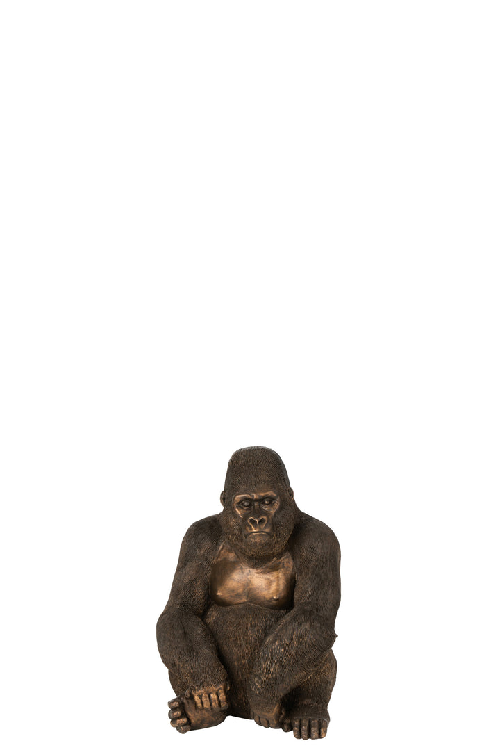 KOKO KONG