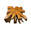 CANGGU TEAK ROOT COFFEE TABLE
