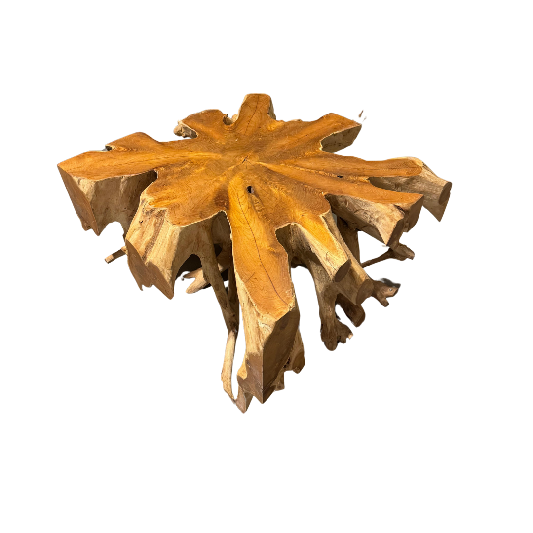 CANGGU TEAK ROOT COFFEE TABLE