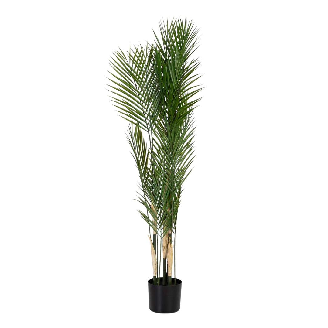DECO SYNTHETIC PLANT KAWAII | 92X92X120CM