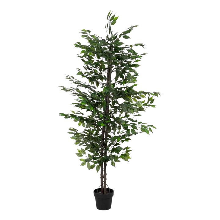 DECO SYNTHETIC PLANT PLATANERO | 95X95X179CM