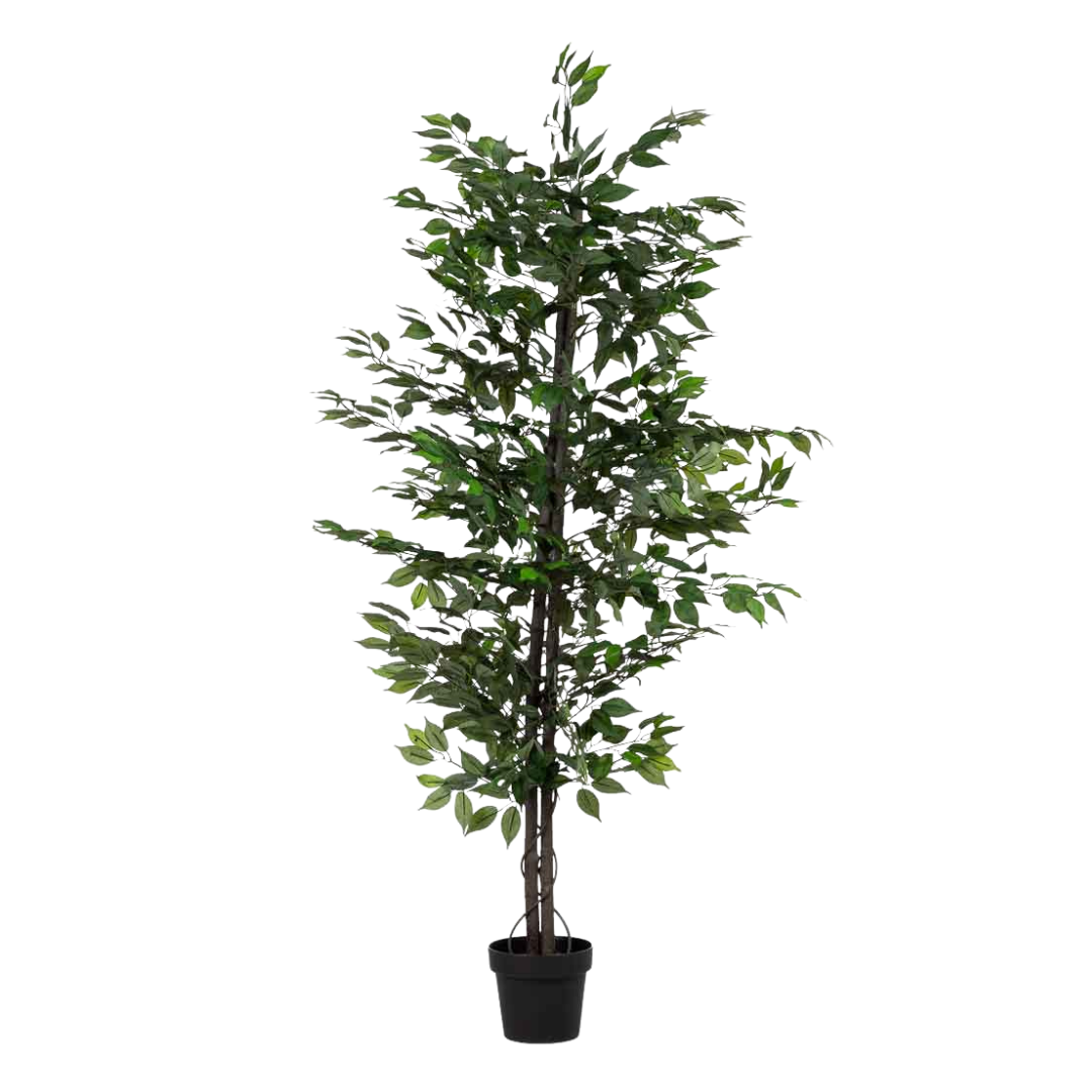 DECO SYNTHETIC PLANT PLATANERO | 95X95X179CM