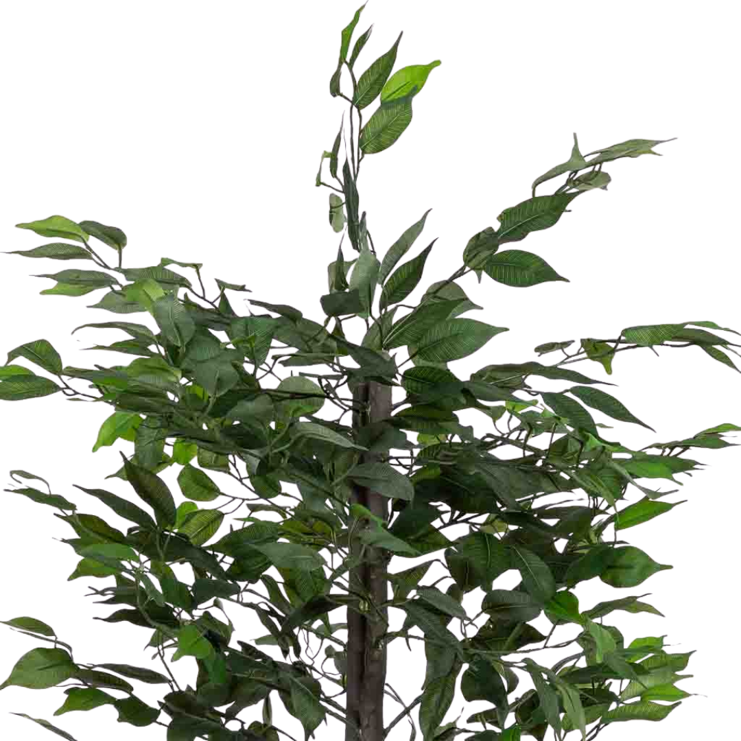 DECO SYNTHETIC PLANT PLATANERO | 95X95X179CM