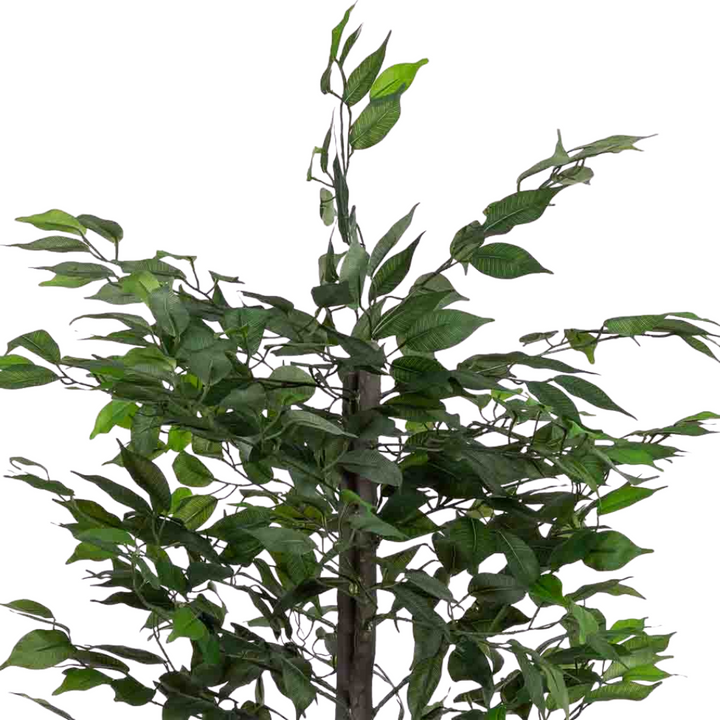 DECO SYNTHETIC PLANT PLATANERO | 95X95X179CM