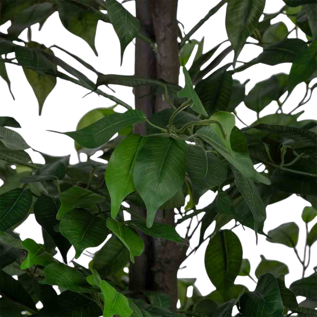 DECO SYNTHETIC PLANT PLATANERO | 95X95X179CM