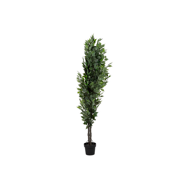 DECO SYNTHETIC PLANT PLATANERO | 95X95X179CM