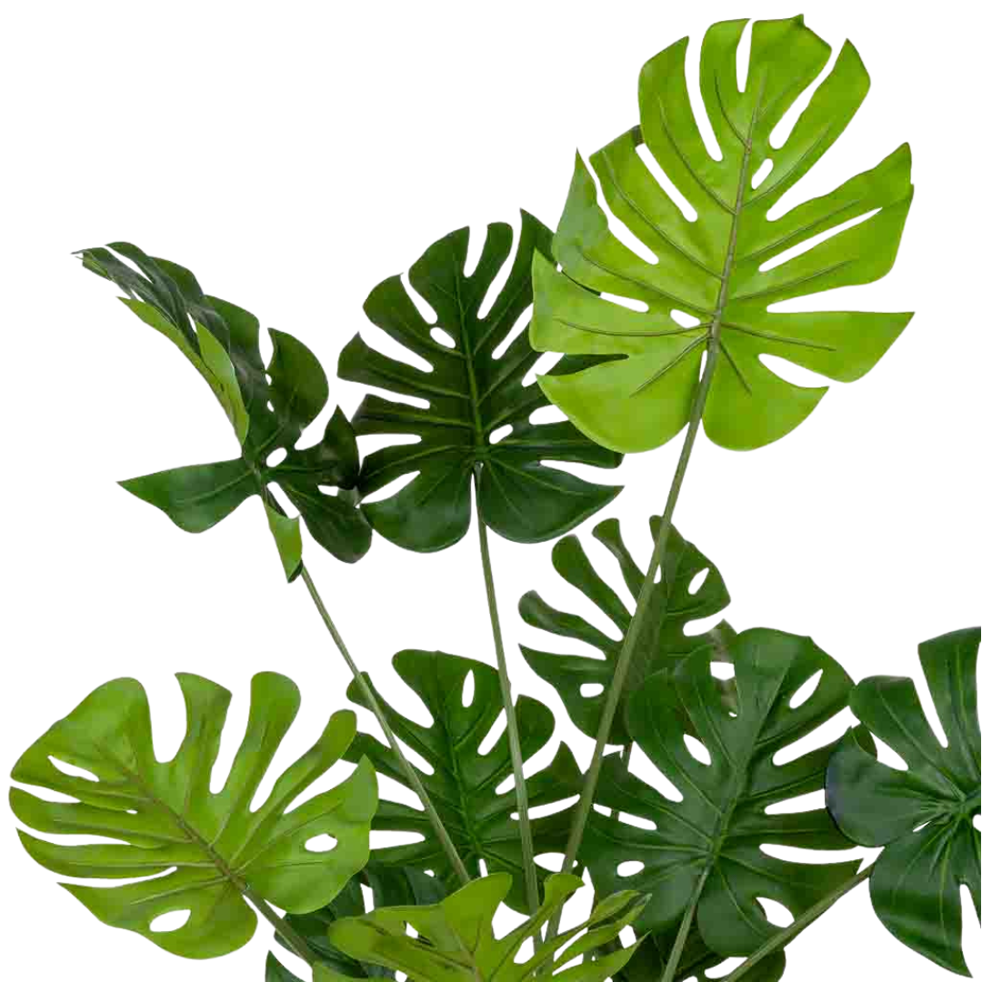 DECO SYNTHETIC PLANT MONSTERA | 90X90X127CM