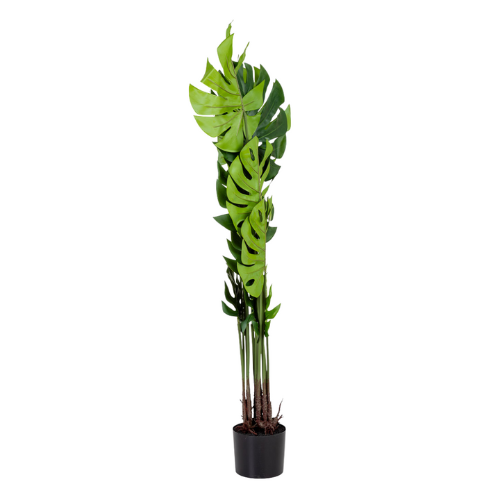 DECO SYNTHETIC PLANT MONSTERA | 90X90X127CM
