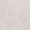 TRAVERTINE DINING TABLE | 120CM