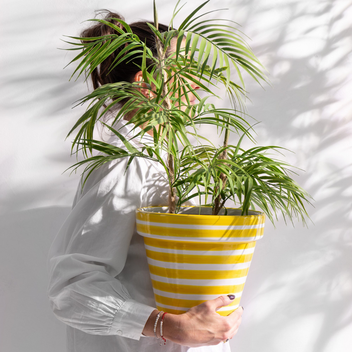 ZUMA STRIPES FLOWERPOT | YELLOW