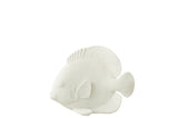 OCEAN COLLECTION FLAT FISH | WHITE