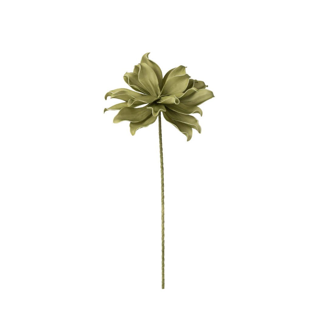 WILLOW BLOOM DECO SYNTHETIC PLANT | GREEN