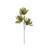 WILLOW BLOOM DECO SYNTHETIC PLANT | GREEN