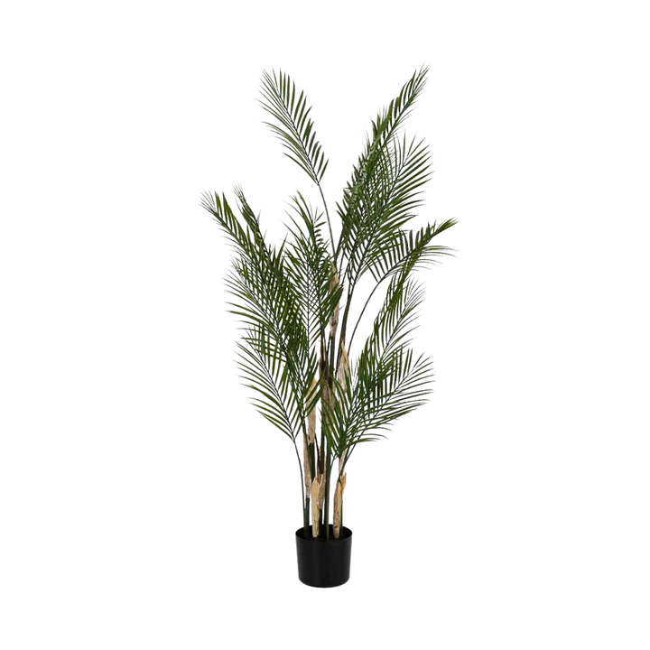 DECO SYNTHETIC PLANT KAWAII | 92X92X150CM