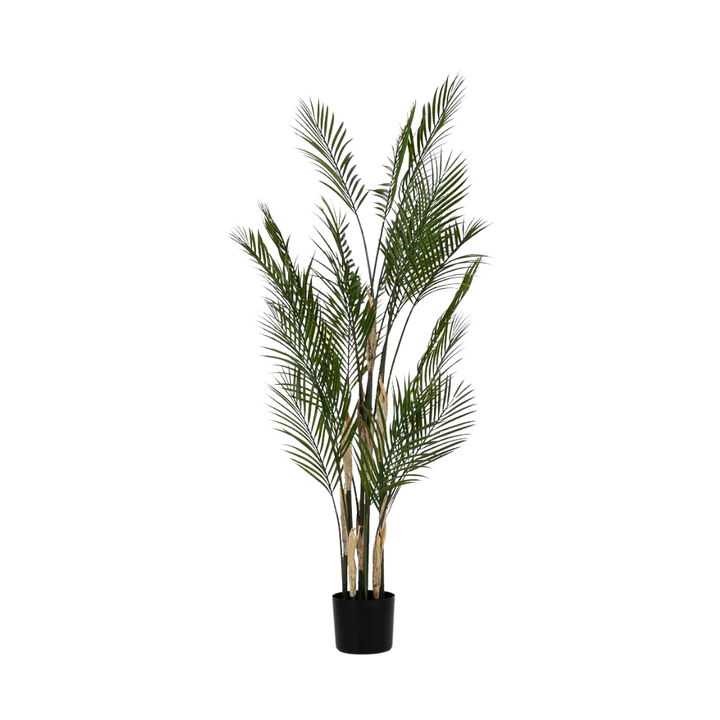 DECO SYNTHETIC PLANT KAWAII | 92X92X150CM