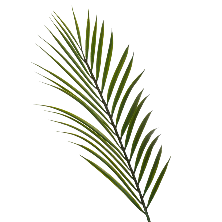 DECO SYNTHETIC PLANT KAWAII | 92X92X150CM
