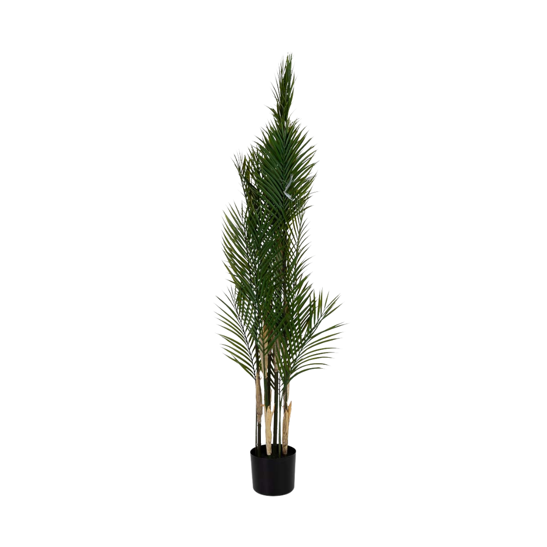 DECO SYNTHETIC PLANT KAWAII | 92X92X150CM