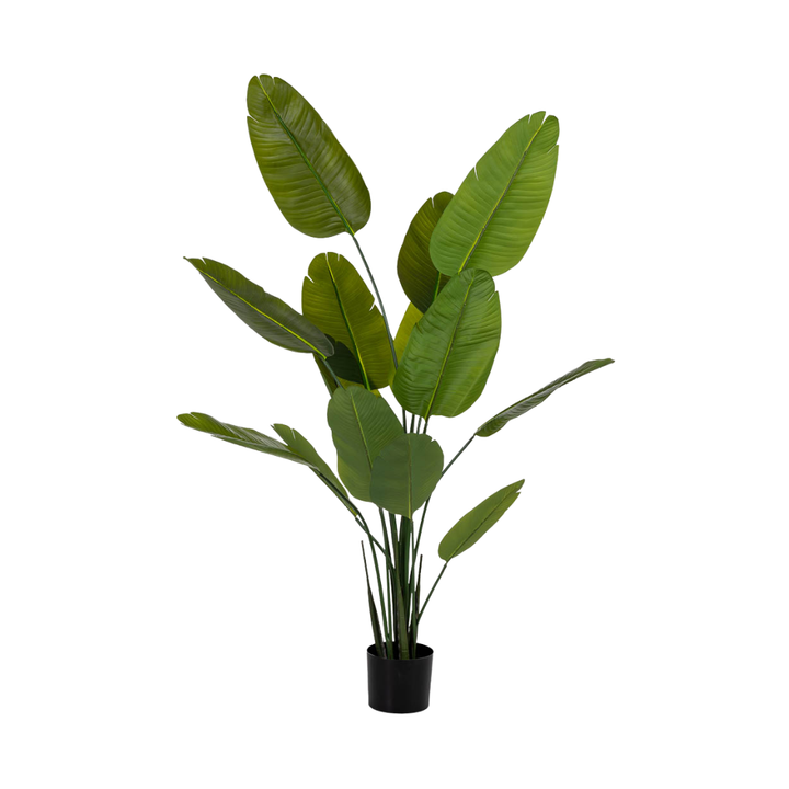 DECO SYNTHETIC PLANT STRELITZIA | 80X80X180CM