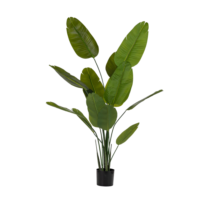 DECO SYNTHETIC PLANT STRELITZIA | 80X80X180CM