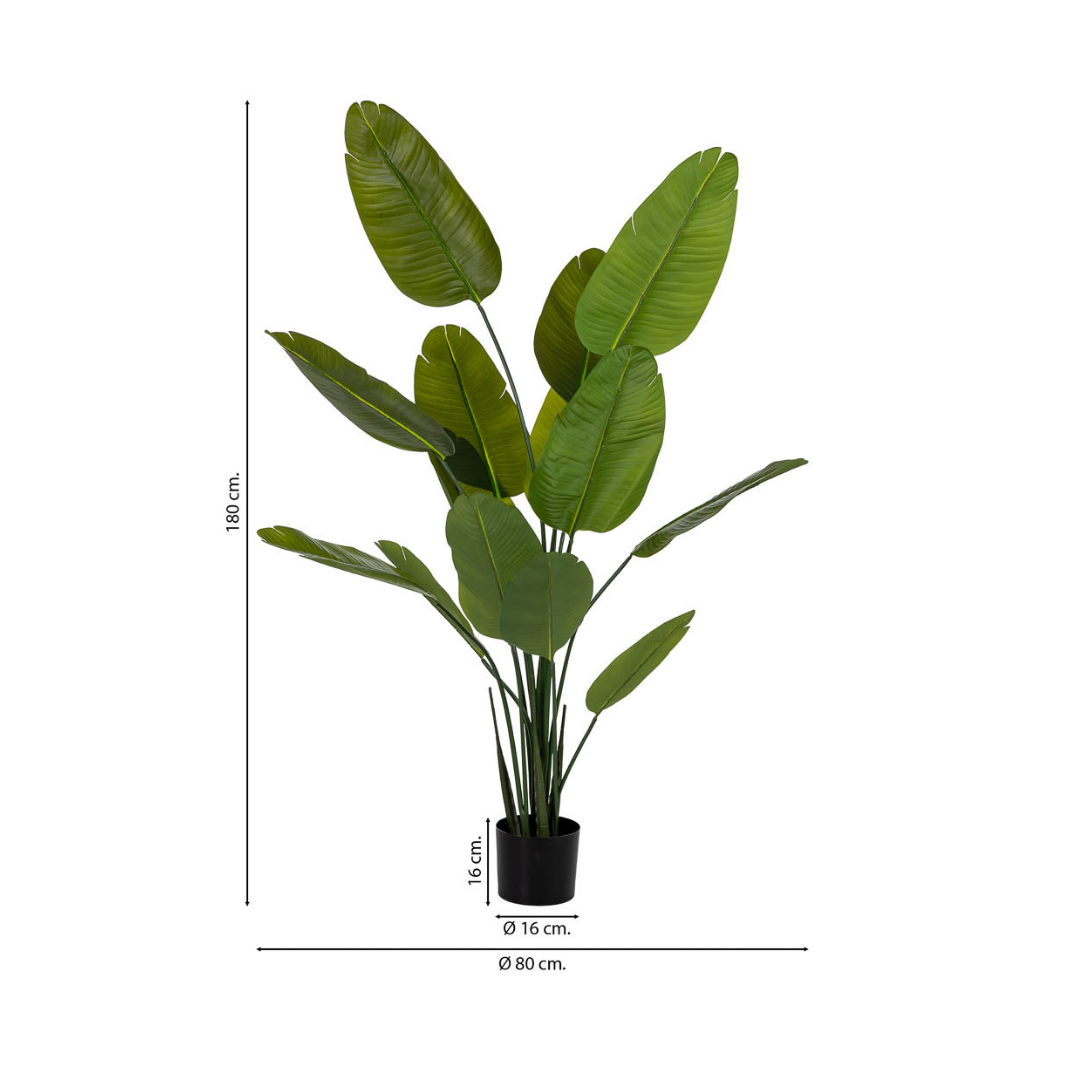 DECO SYNTHETIC PLANT STRELITZIA | 80X80X180CM