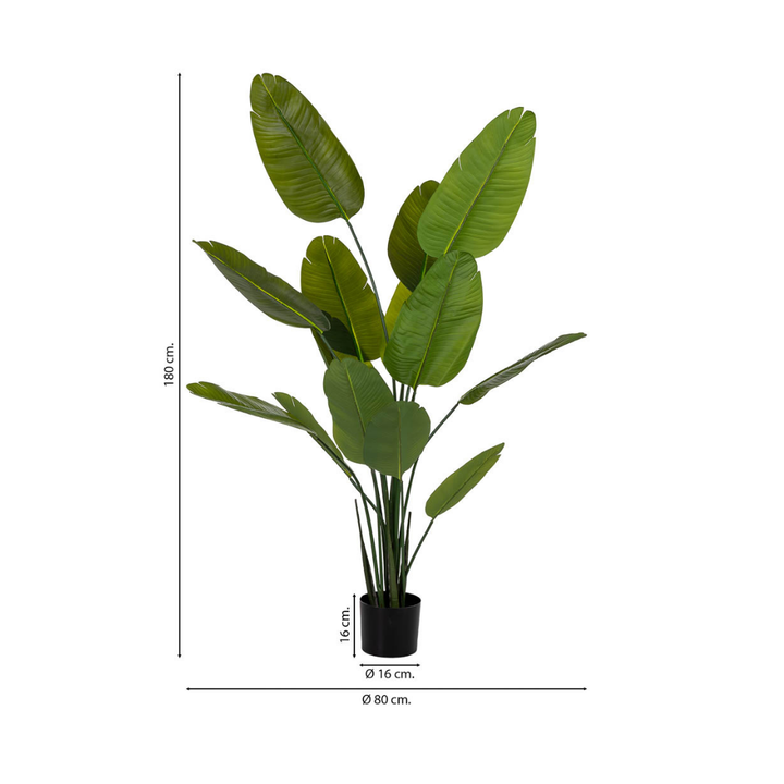 DECO SYNTHETIC PLANT STRELITZIA | 80X80X180CM