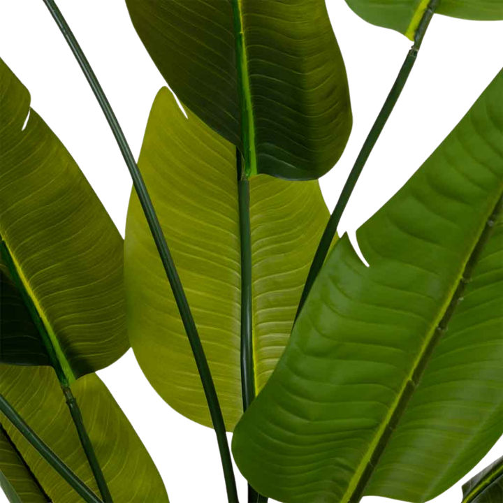 DECO SYNTHETIC PLANT STRELITZIA | 80X80X180CM