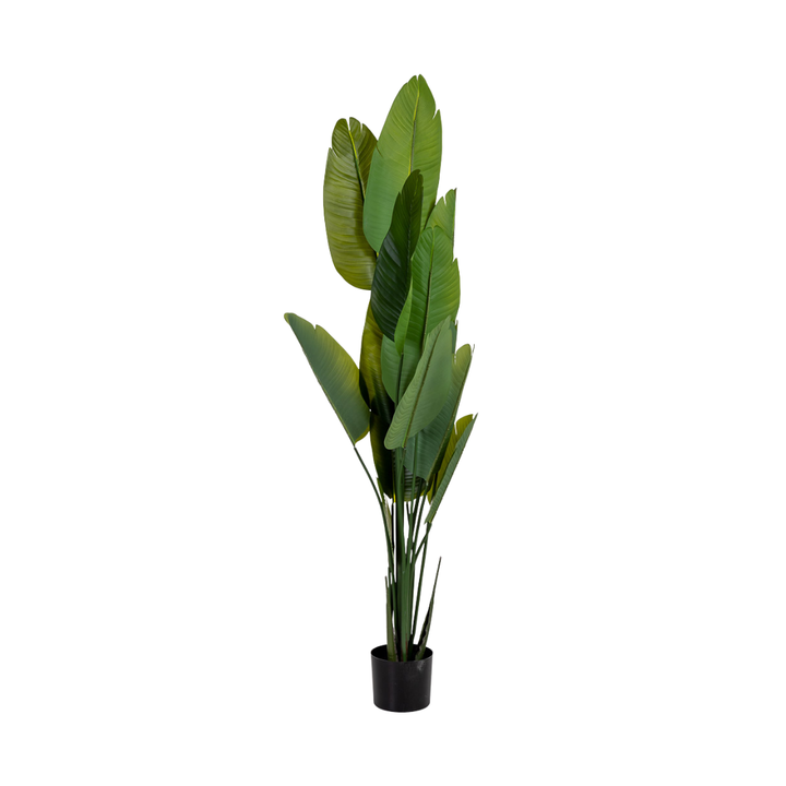 DECO SYNTHETIC PLANT STRELITZIA | 80X80X180CM