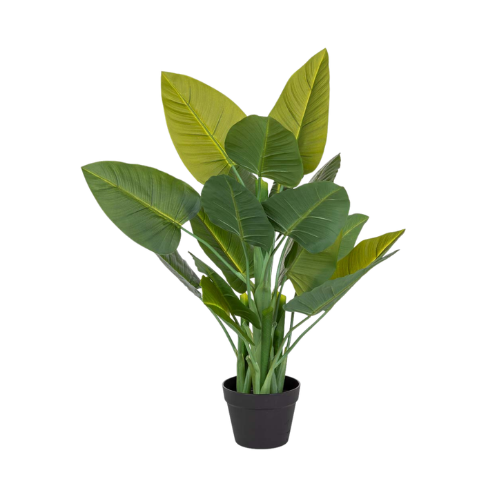 DECO SYNTHETIC PLANT SUCCULENT | 40X30X88CM