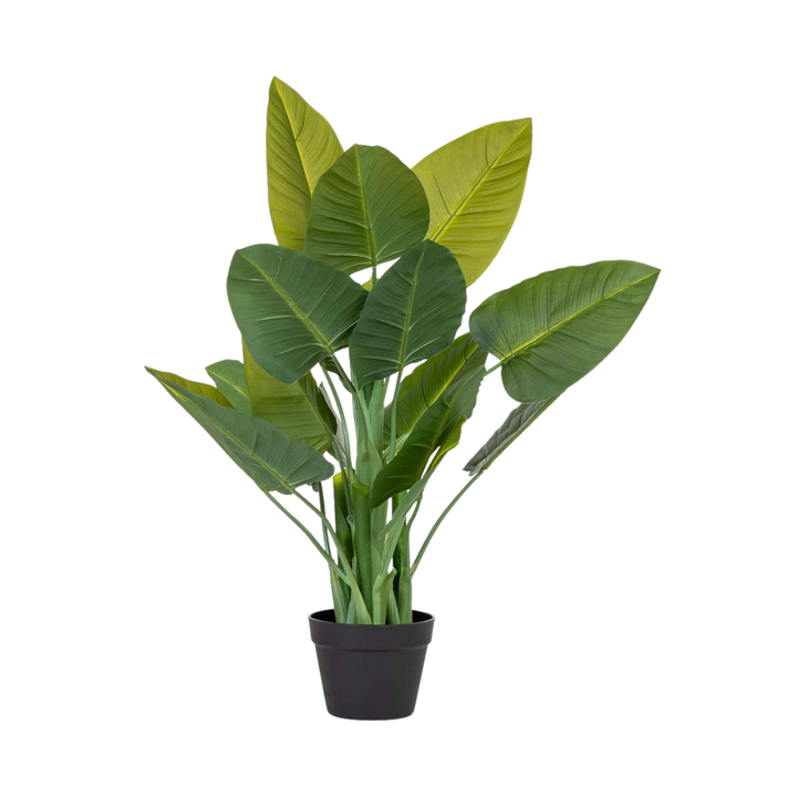 DECO SYNTHETIC PLANT SUCCULENT | 40X30X88CM