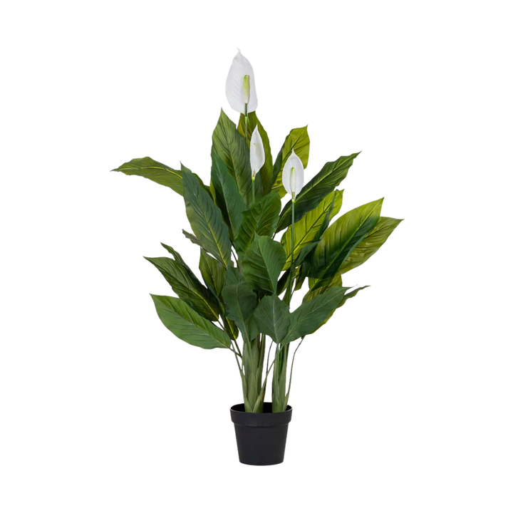 DECO SYNTHETIC PLANT ANTHURIUM | 100X100X125CM