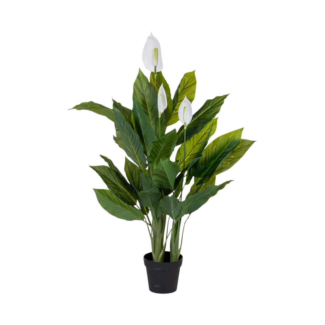 DECO SYNTHETIC PLANT ANTHURIUM | 100X100X125CM