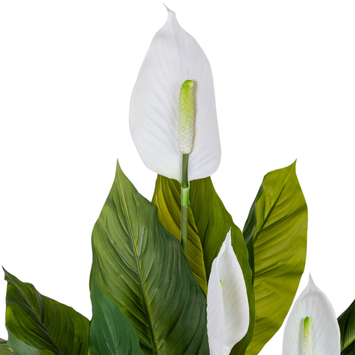DECO SYNTHETIC PLANT ANTHURIUM | 100X100X125CM