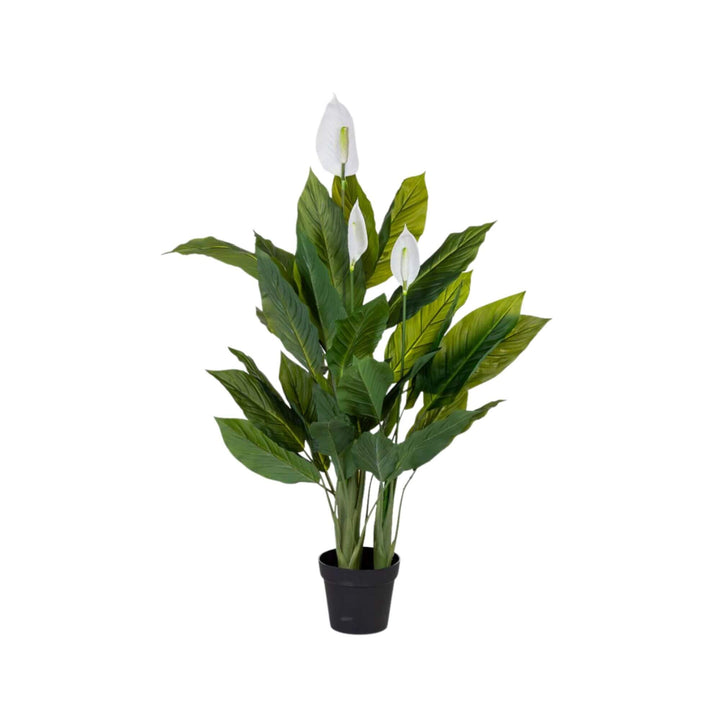 DECO SYNTHETIC PLANT ANTHURIUM | 100X100X125CM