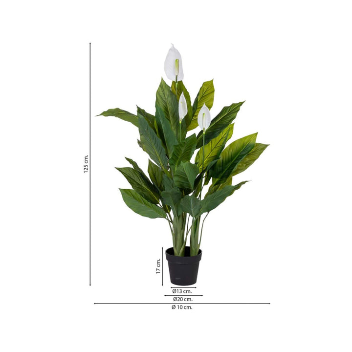 DECO SYNTHETIC PLANT ANTHURIUM | 100X100X125CM