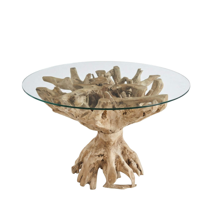 Glass-top Aldebaran teak root dining table on a white background