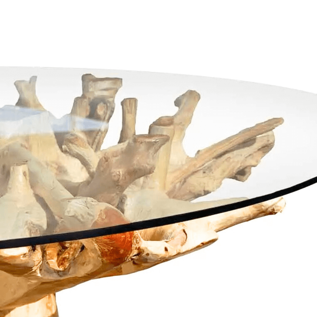 Glass table with organic wood base on a white background