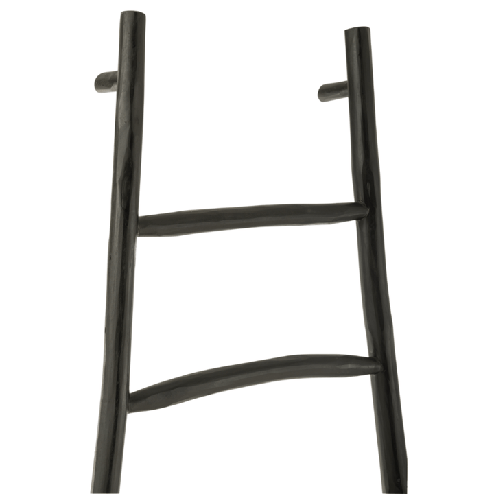 Top section of the Aride Teak Ladder showing smooth organic design.