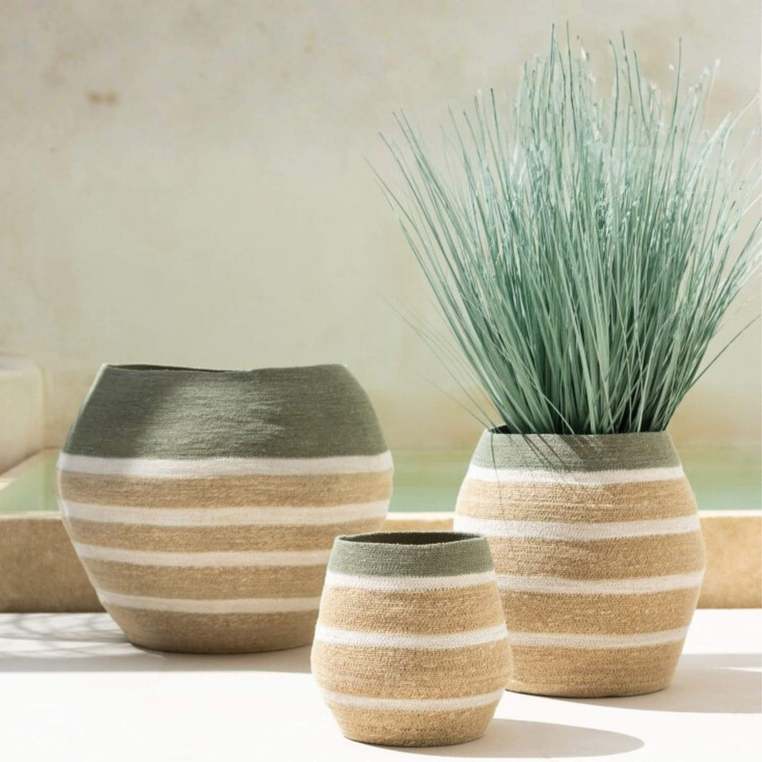 Balangan Baskets displayed with decorative plants in a coastal interior.