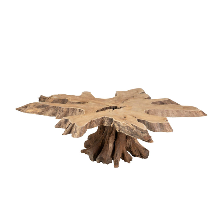 Front view of the Belitung Coffee Table showcasing its sculptural teak root base.