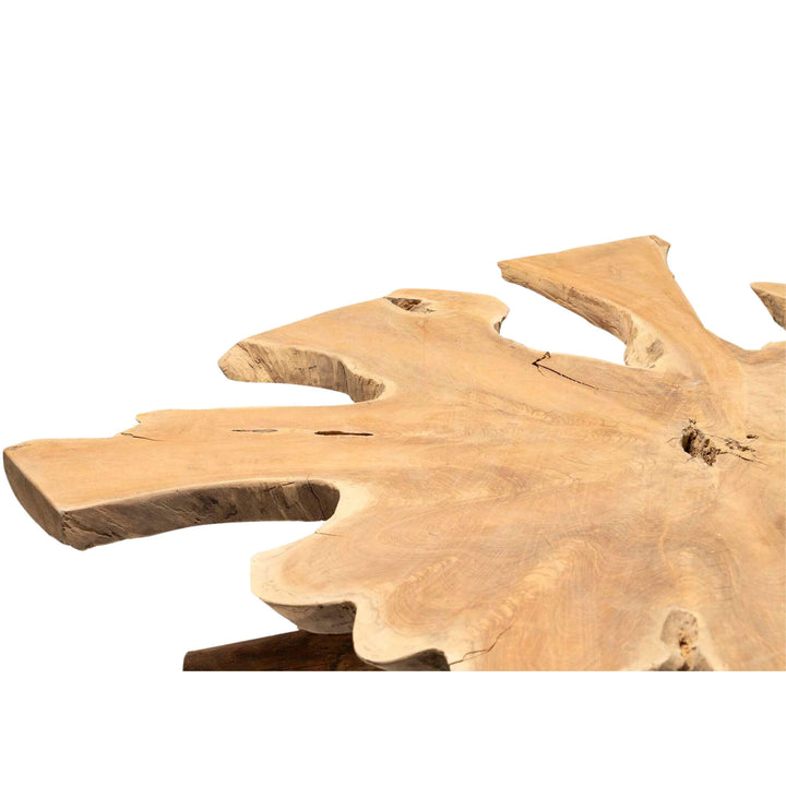 Close-up of the organic teak root top with natural grain and texture.