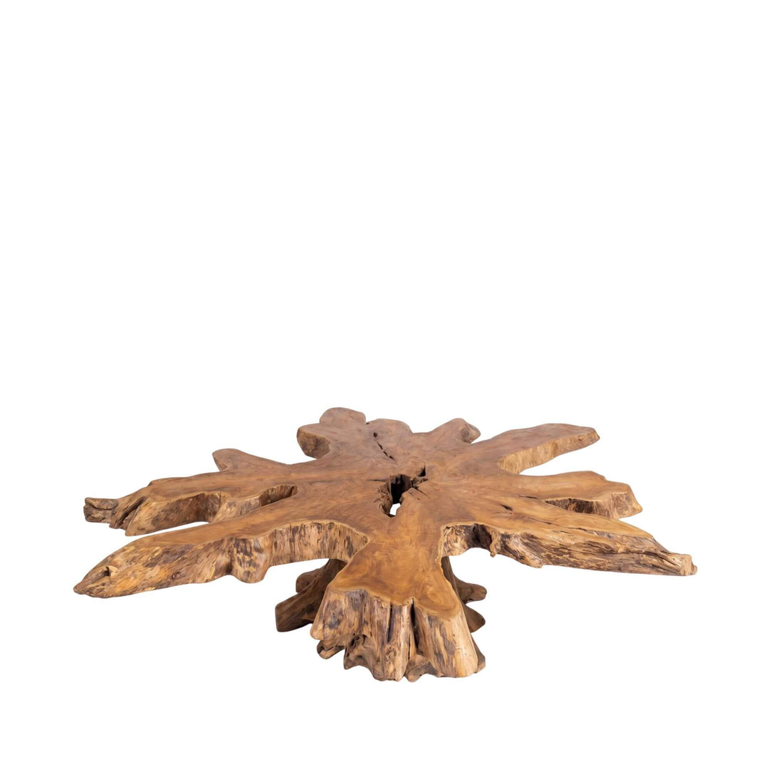 Angled view of the coffee table highlighting its dramatic root structure and handcrafted silhouette.