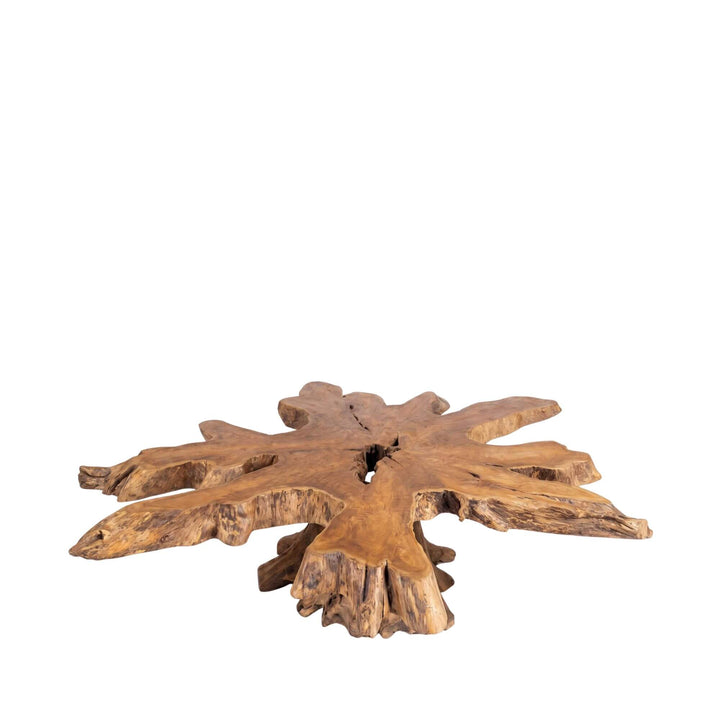 Angled view of the coffee table highlighting its dramatic root structure and handcrafted silhouette.