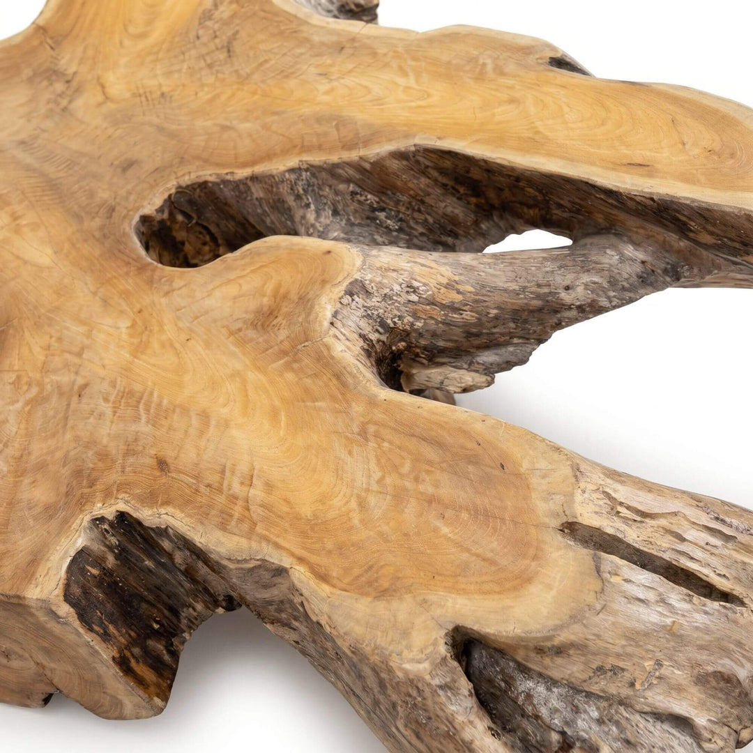 Close-up of the teak root edge showing the organic contours and raw natural texture.