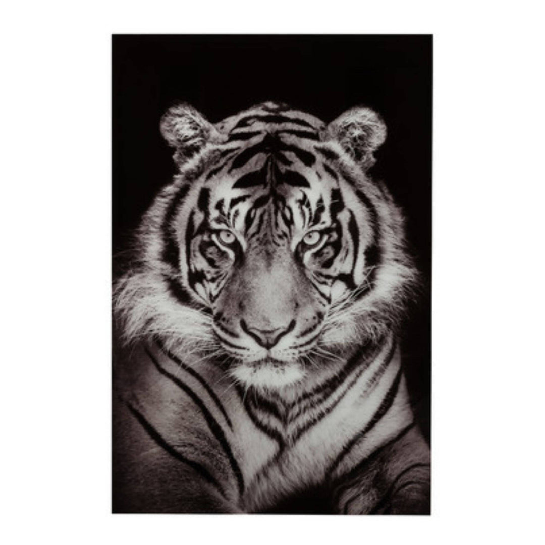 Black and white Bengal tiger wall art printed on glass with aluminum frame.