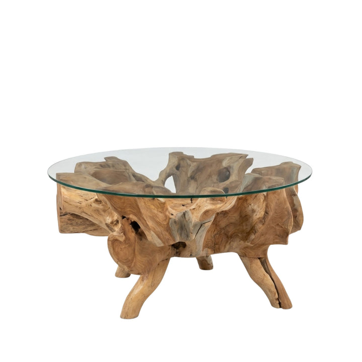 Front view of 100cm Bintan Teak Root Coffee Table showing the organic root structure beneath the tempered glass.