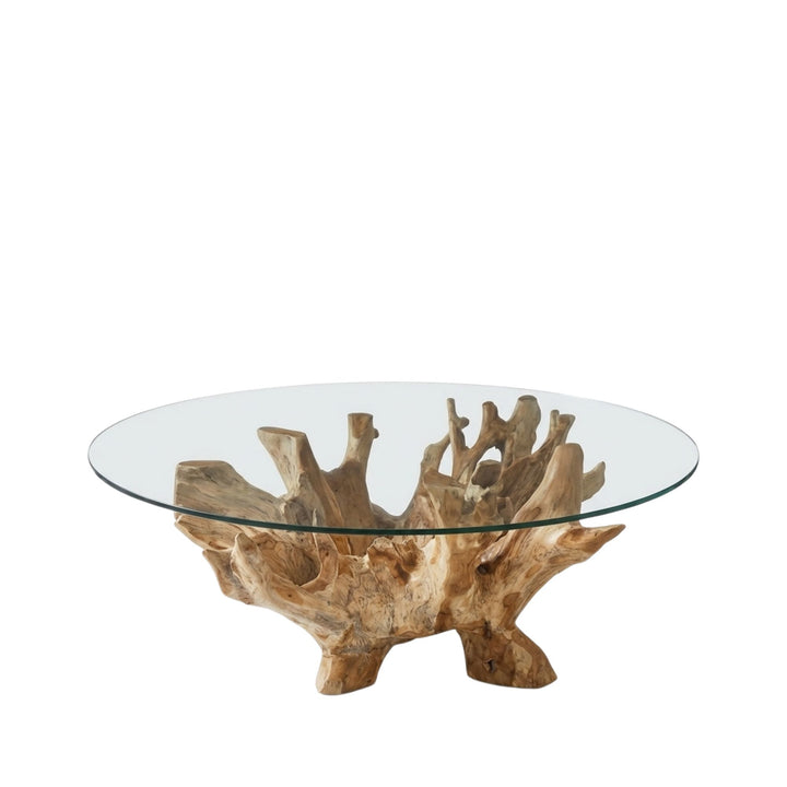 Front view of 120cm Bintan Teak Root Coffee Table showing the organic root structure beneath the tempered glass.